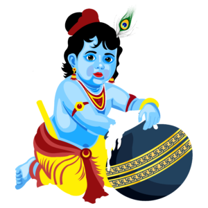 Picture of Brajaraj Prananda Das